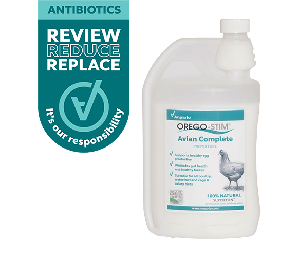 Support Poultry Performance with Orego-Stim